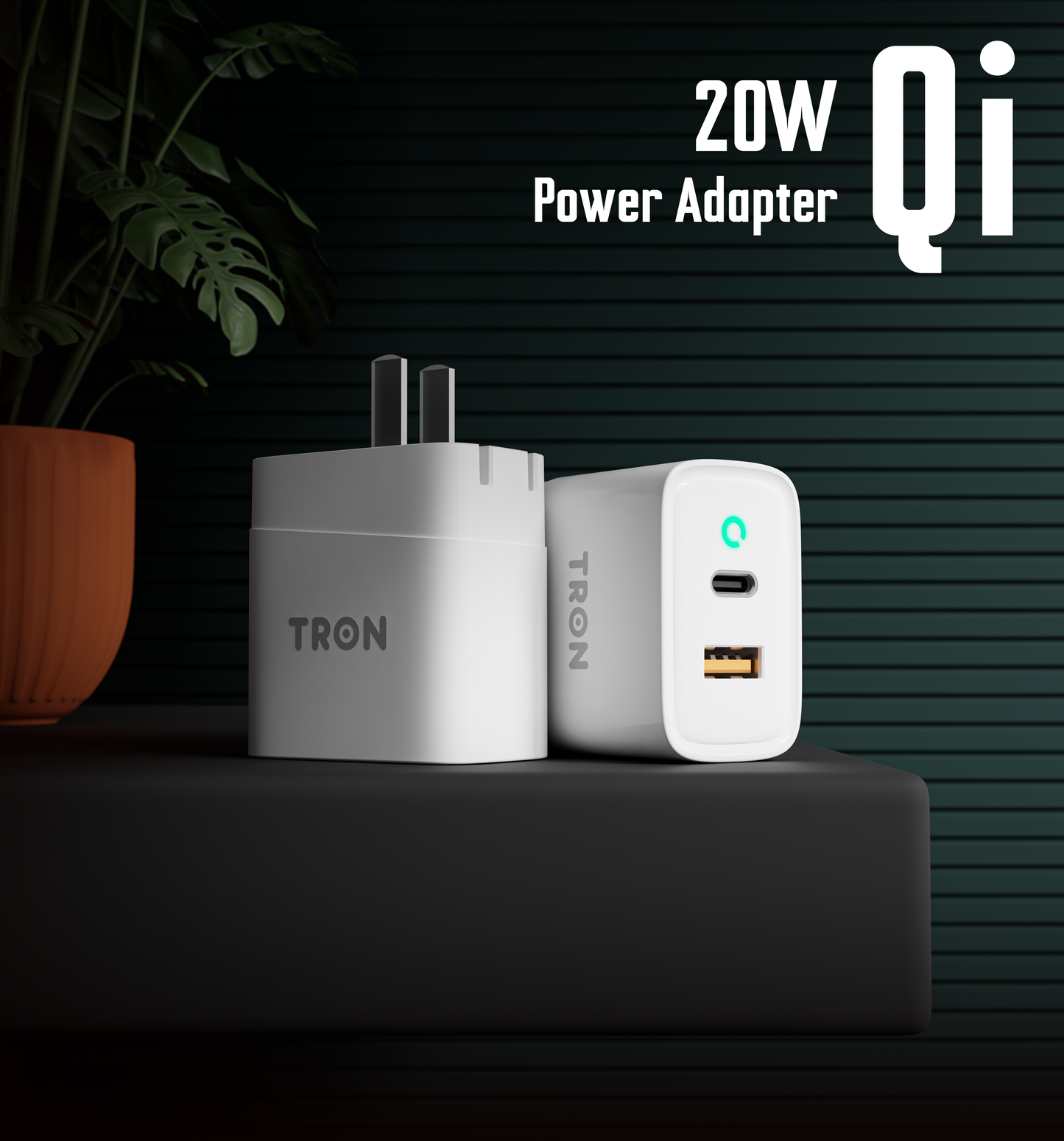 2-Port Qi 20W Power Adapter, USB-C with LED Light-TR44